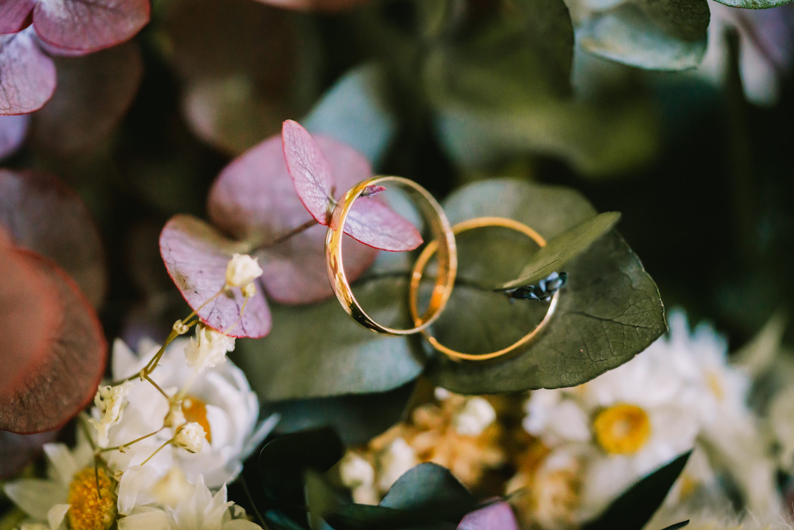 Formas de contraer matrimonio en España - Tienes derechos